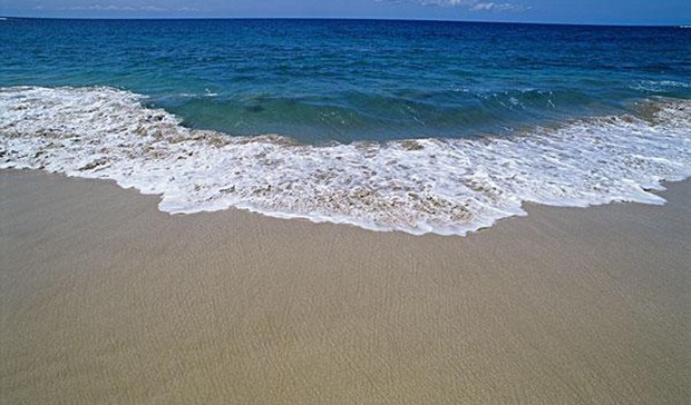 國家貨運(yùn)代理