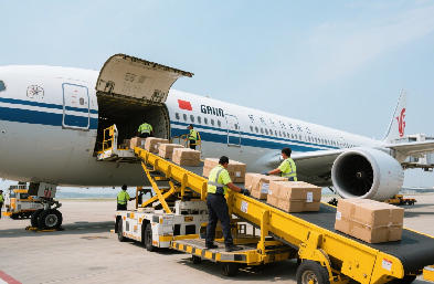 國際物流匯聚全球資源，構(gòu)筑多元化出海體系